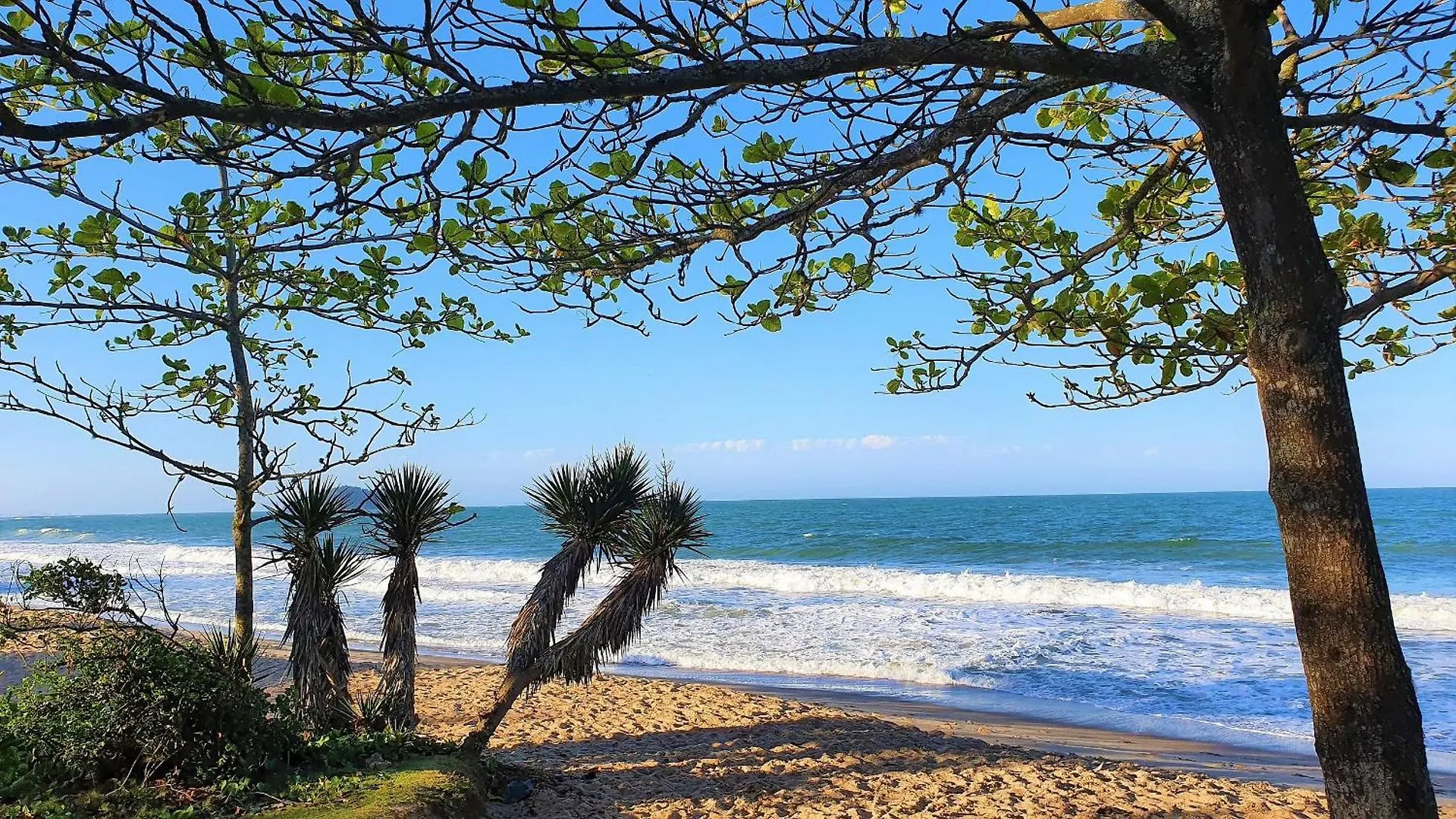 Apartment Nautilus Home Club - Penha - Sc